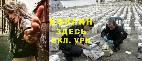 прущие грибы Алексин