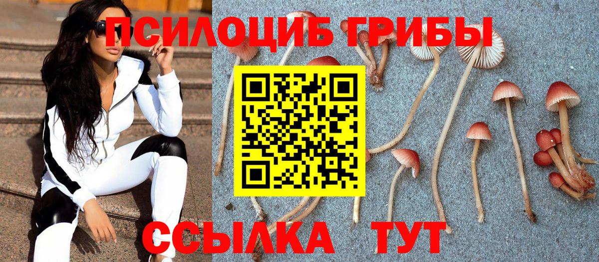 Уварово  Псилоцибиновые грибы Psilocybe  Вход с VPN  Псилоцибиновые грибы Magic Shrooms 